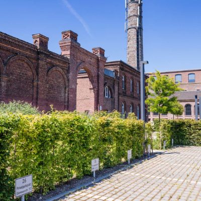 Zaun und Hecke: Unbegrenzte Möglichkeiten für die Außengrenzen