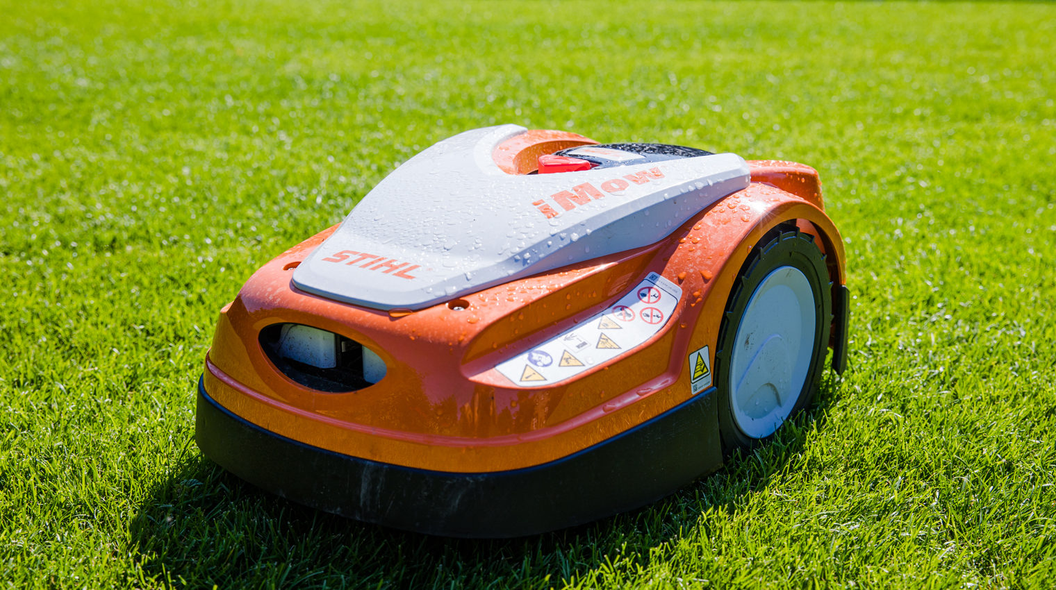 Mähroboter auf grünem Rasen