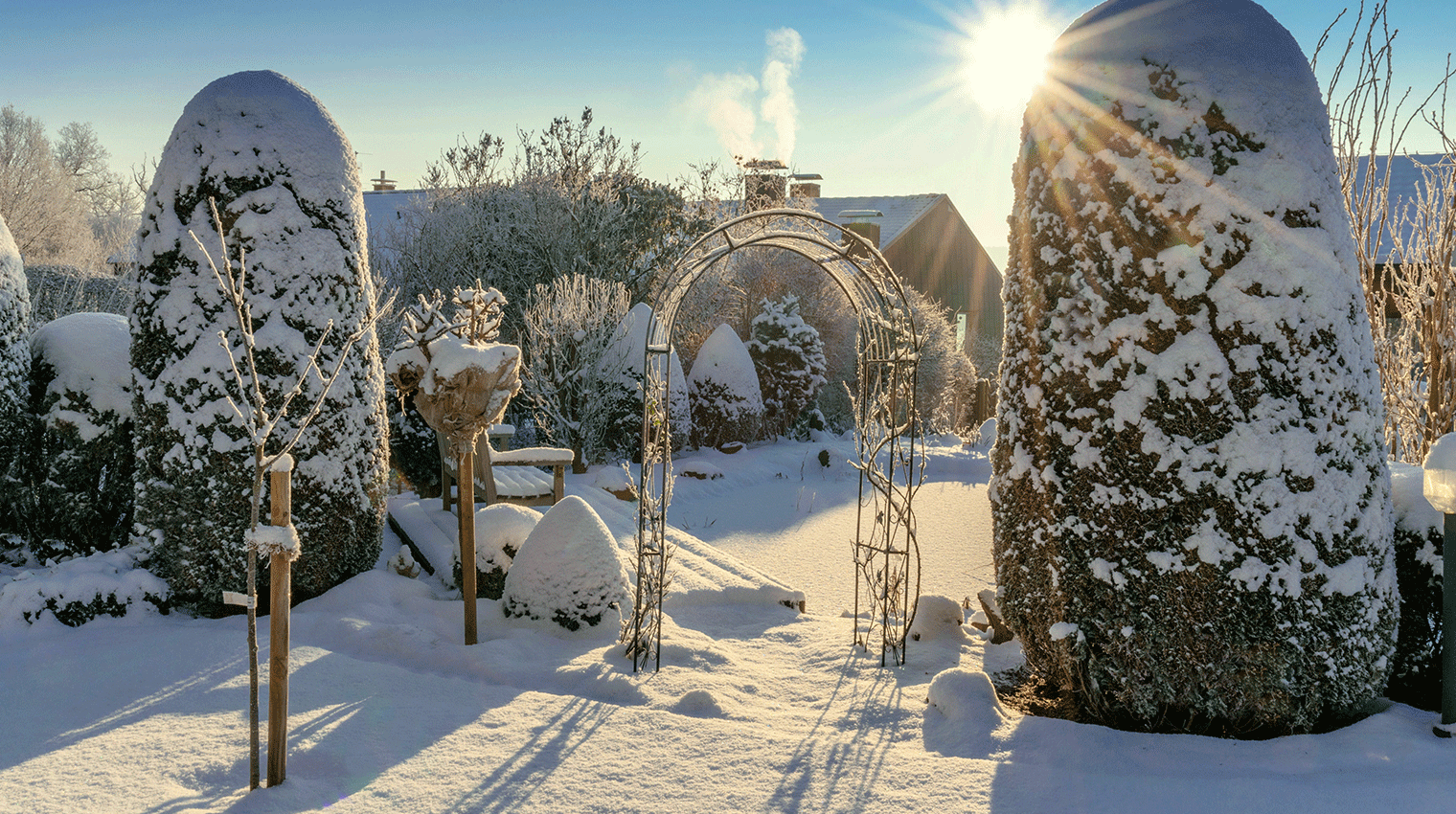 Garten im Winter bei Schnee
