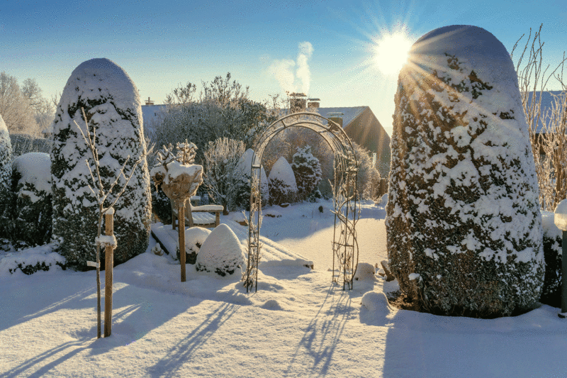 Garten im Winter bei Schnee
