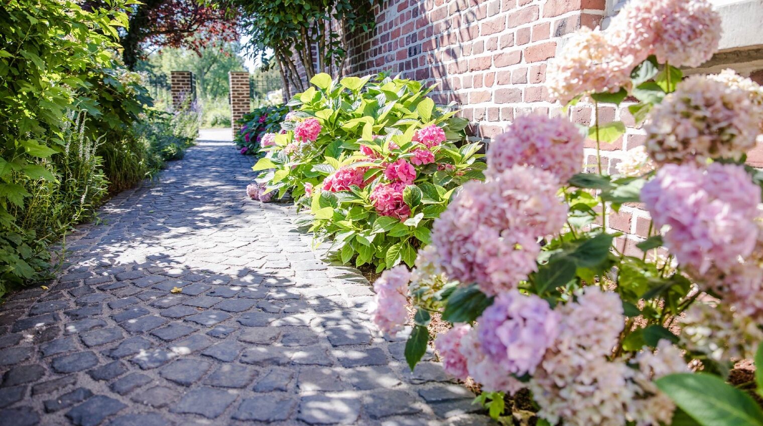 Stauden und Gehölze: Wie man dem Garten Struktur und Farbe verleiht