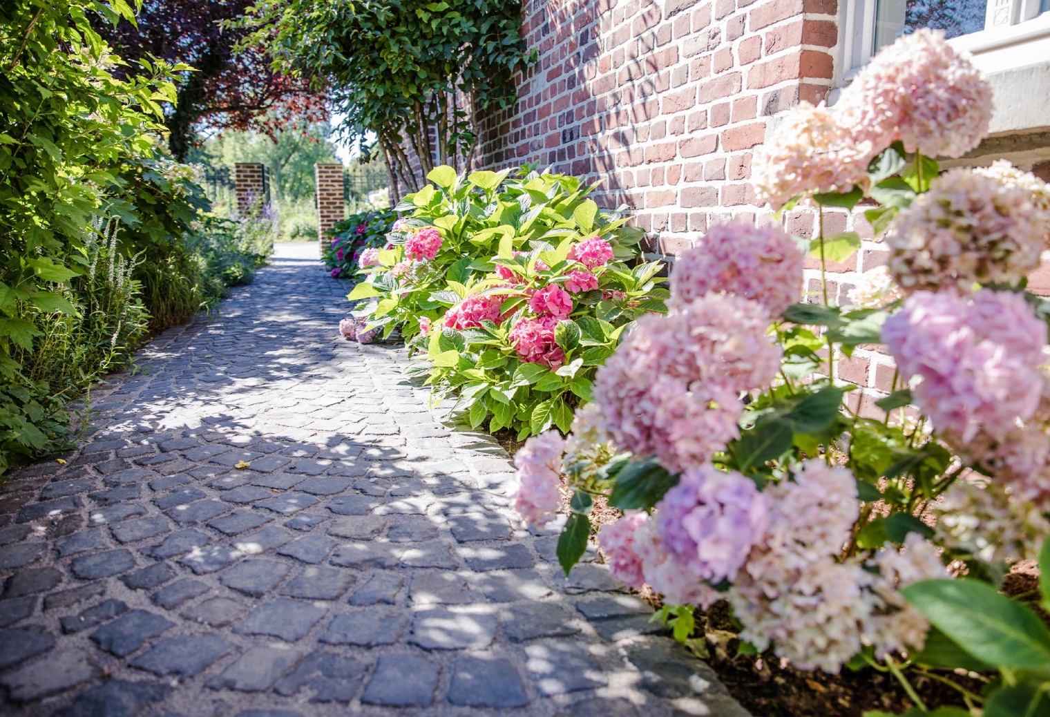 Stauden und Gehölze: Wie man dem Garten Struktur und Farbe verleiht