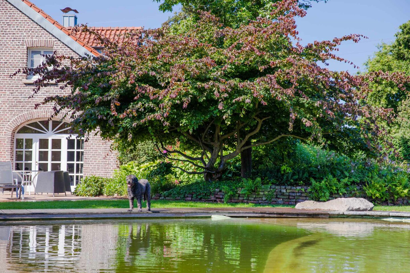 ROOSEN Gartenbau Landschaftsbau GmbH & CO.KG Galabau Viersen
