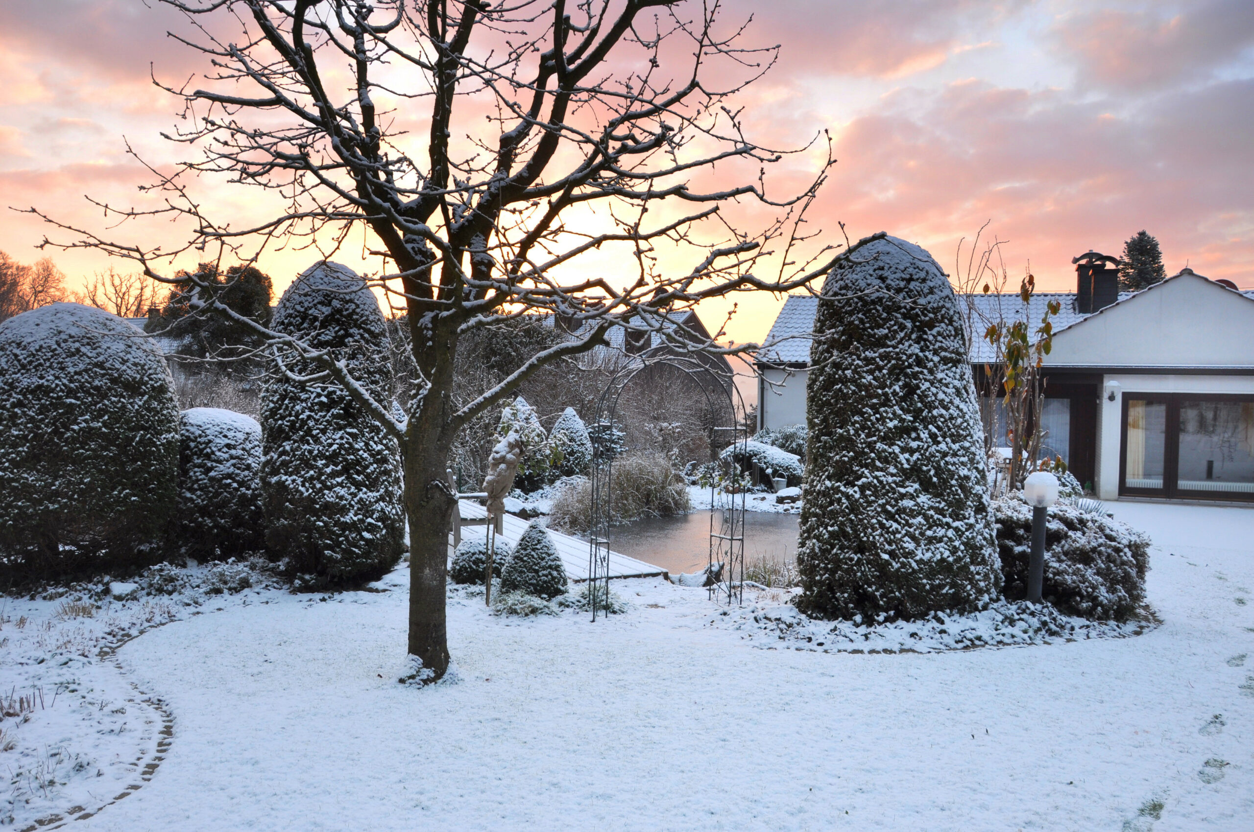 winterfester garten